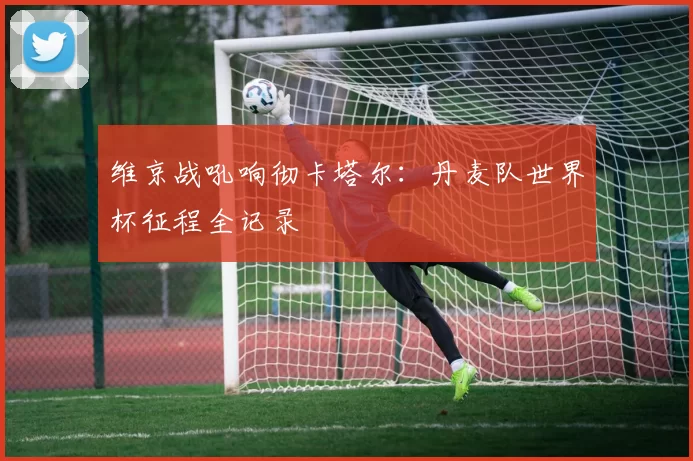 维京战吼响彻卡塔尔：丹麦队世界杯征程全记录