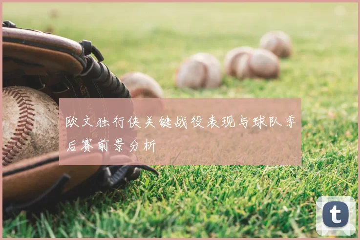 欧文独行侠关键战役表现与球队季后赛前景分析