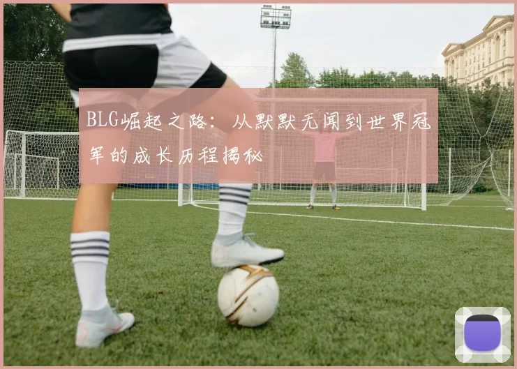 BLG崛起之路：从默默无闻到世界冠军的成长历程揭秘