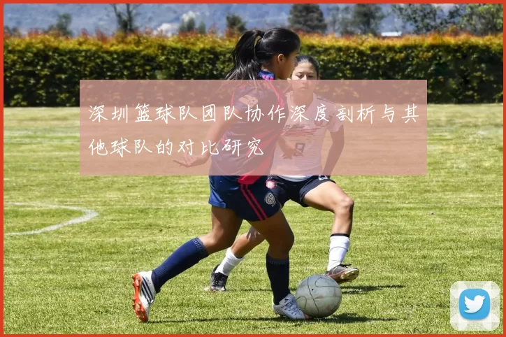 深圳篮球队团队协作深度剖析与其他球队的对比研究