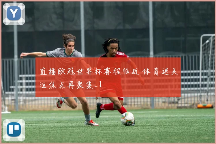 直播欧冠世界杯赛程临近 体育迷关注焦点再聚集_1