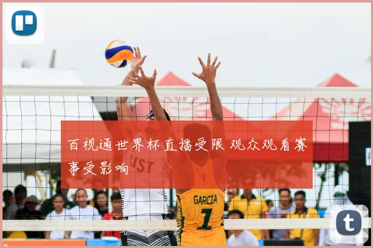 百视通世界杯直播受限 观众观看赛事受影响