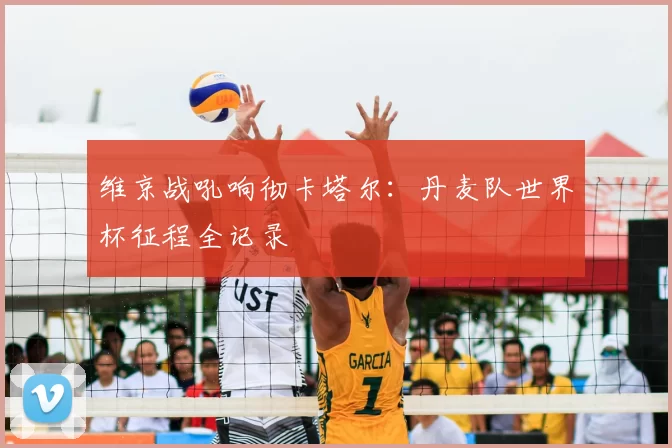 维京战吼响彻卡塔尔：丹麦队世界杯征程全记录